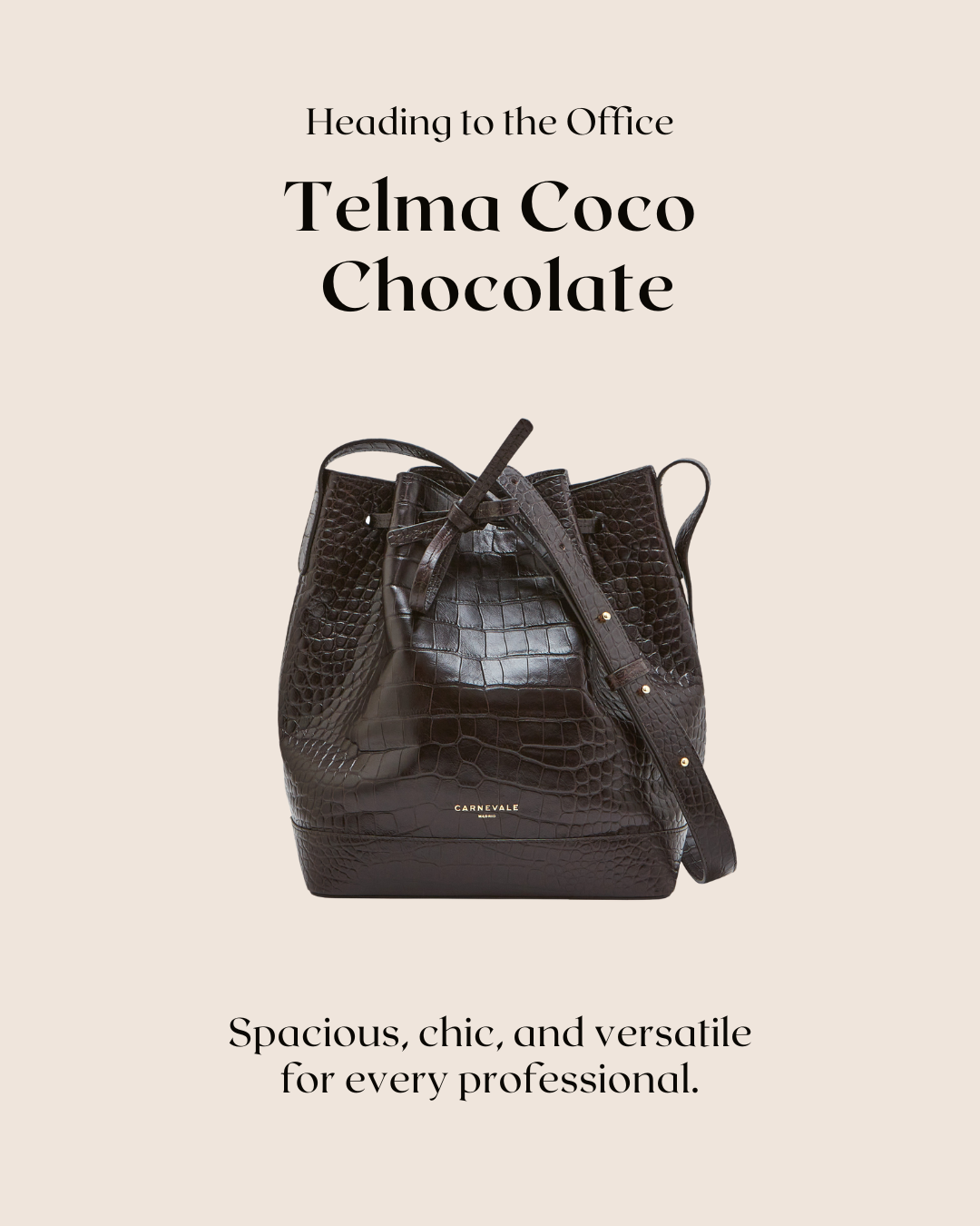 bolso telma coco chocolate bucket bag